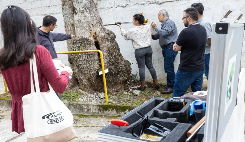Treinamento orienta técnicos sobre o uso do penetrógrafo na avaliação de árvores