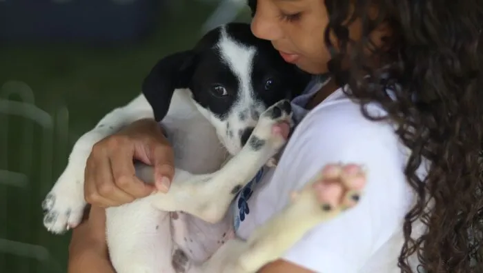  Baby, me Leva! garante novo lar para 32 pets