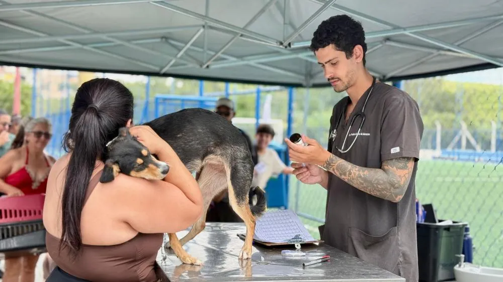 Programa de Castração atende 422 animais em Arujá
