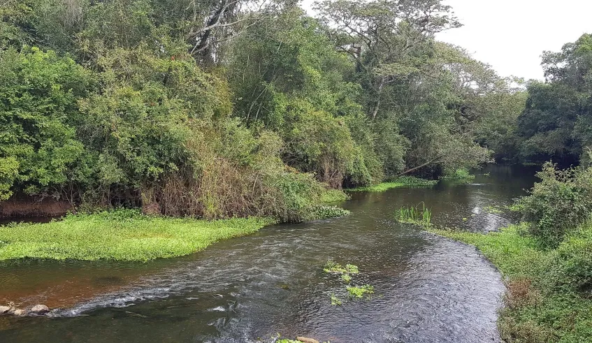 Semae Mogi das Cruzes e UMC firmam acordo de cooperação para pesquisa sobre o rio Tietê