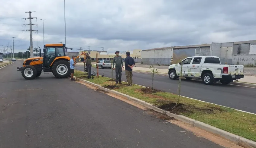 Plano de Arborização Urbana inicia plantio de mudas no Corredor Nordeste em Mogi das Cruzes