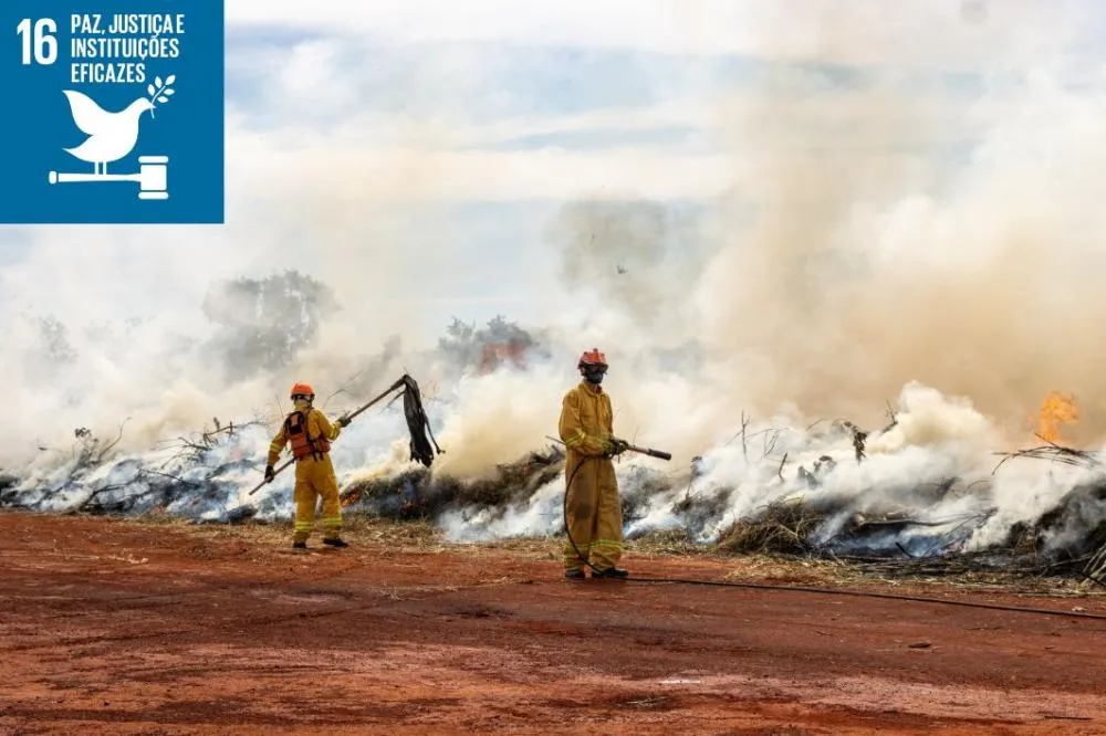 Itaquá participa de simulado contra incêndios florestais