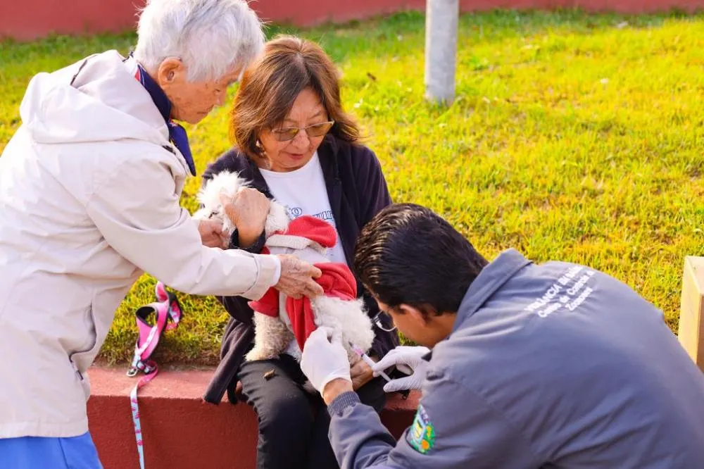 Guararema promove nova etapa da vacinação antirrábica gratuita para cães e gatos