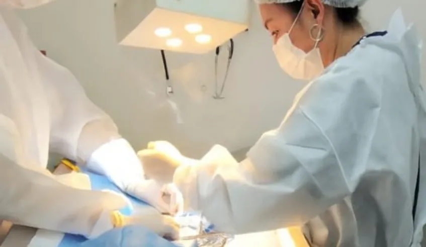 Centro de Zoonoses faz castração de gatos em área com esporotricose