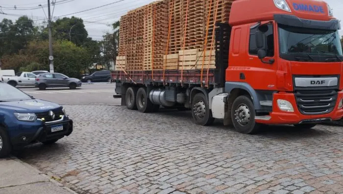 Segurança Cidadã - PMS