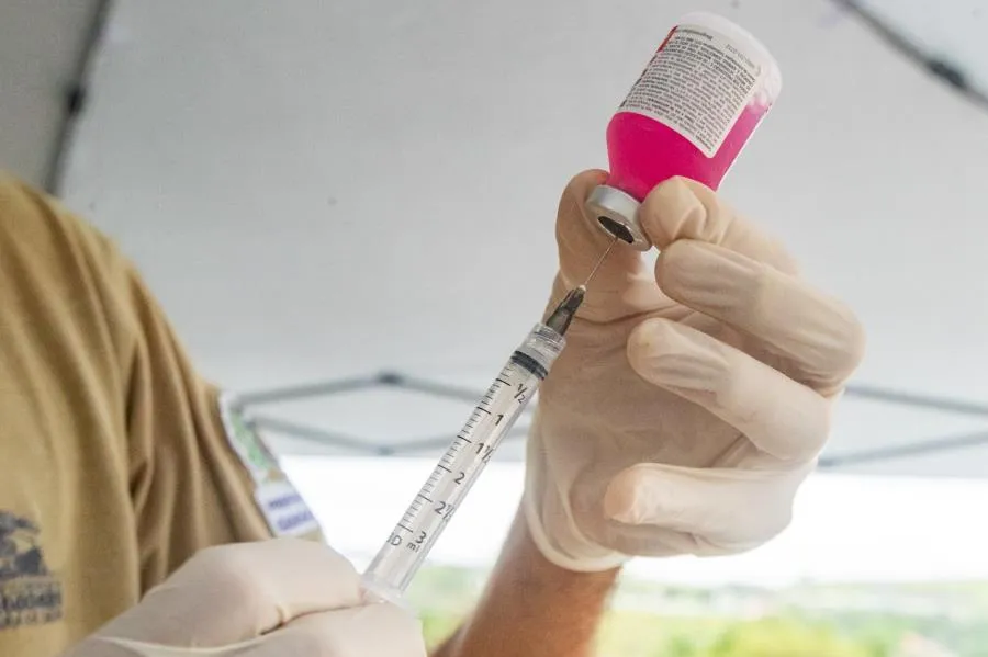 Guararema: Nova etapa da vacinação antirrábica protege cães e gatos