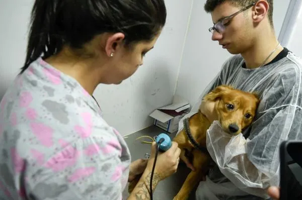 Jardim Santa Teresina recebe o Castra Pet na próxima semana