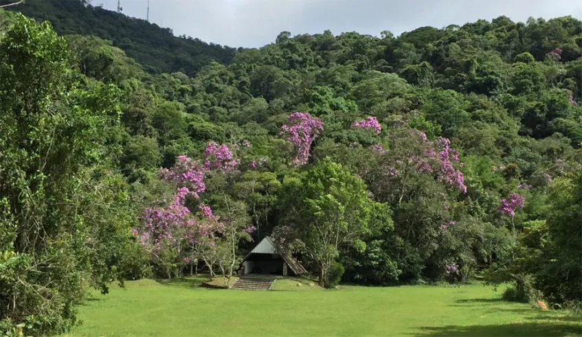 Mogi das Cruzes: Missa Campal chega à 8ª edição neste sábado