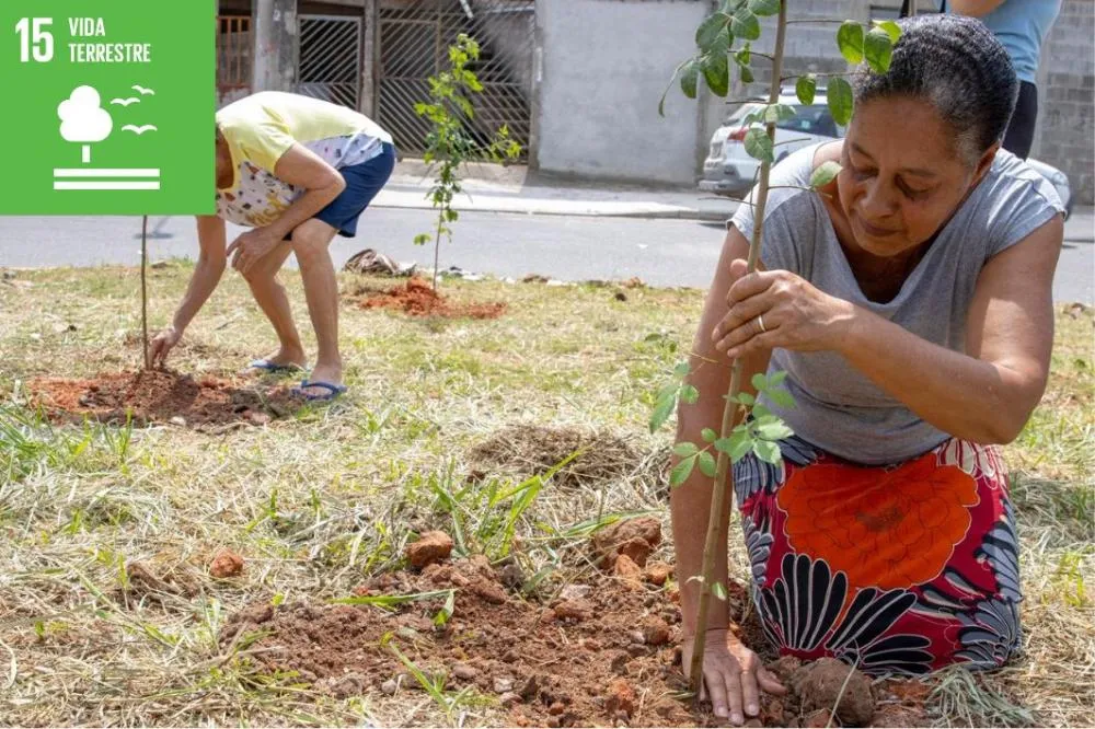 Itaquaquecetuba promove Semana da Árvore com plantio e ações
