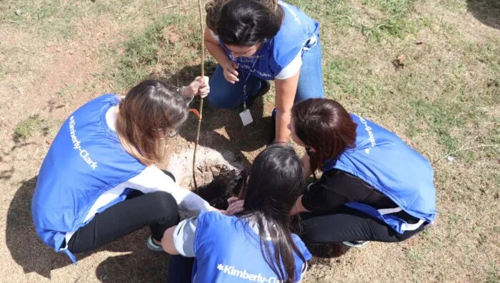 Suzano e Kimberly-Clark celebram Dia da Árvore com plantio de cem mudas