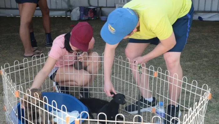 ‘Baby, me Leva!’ promove 11 adoções no último domingo e prepara nova edição