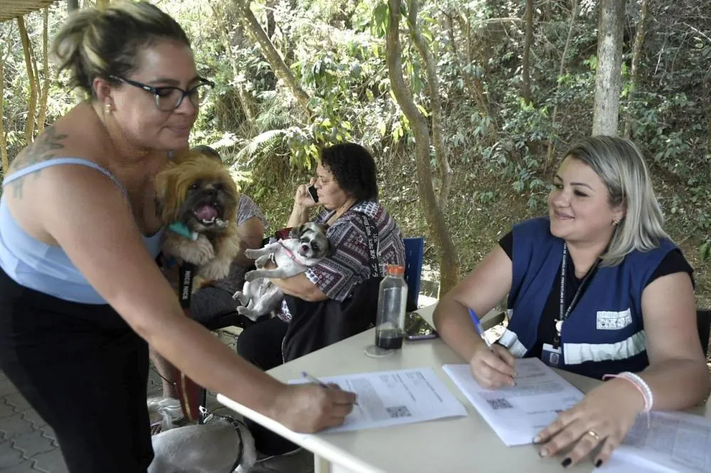 Castra Pet Móvel realiza esterilização gratuita de 330 cães e gatos na região do Pimentas