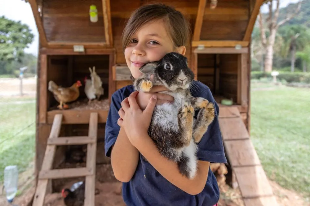 Guararema celebra o Dia Mundial dos Animais com ações de bem-estar e espaços pet friendly