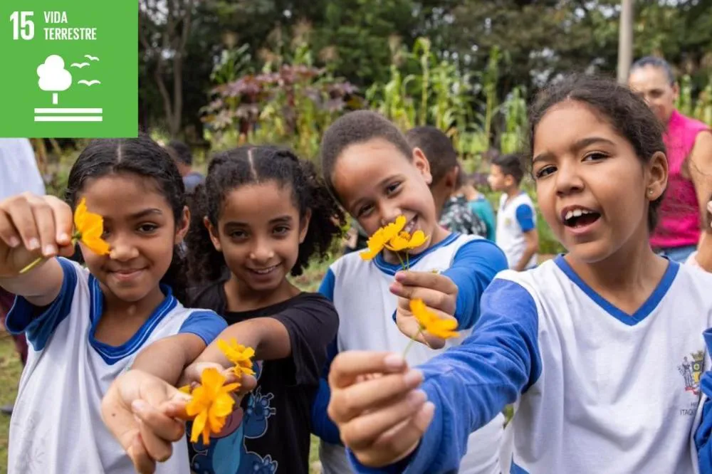 Itaquá promove oficinas gratuitas de PANCs em três CRAS