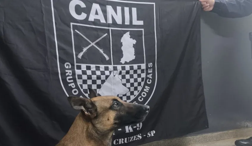 Canil da GCM de Mogi apreende quase 700 porções de drogas em área de mata