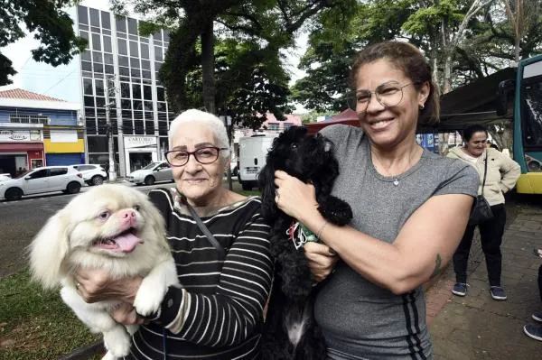 CastraPet Móvel atende 330 cães e gatos nesta semana na região Central
