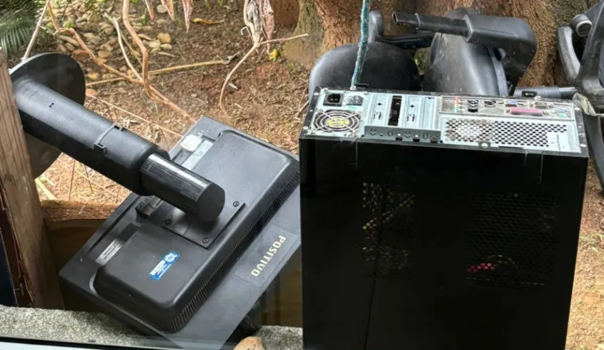 Secretaria de Saúde e Bem-Estar